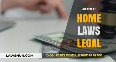 Are Stay-at-Home Laws Legal? Exploring Constitutional Limits and Rights