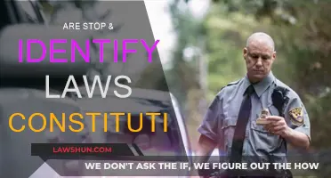 Stop & Identify Laws: Constitutional or Unconstitutional?