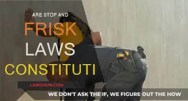 Stop and Frisk: Constitutional Rights Violation?