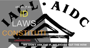 Stop and ID Laws: Constitutional or Not?