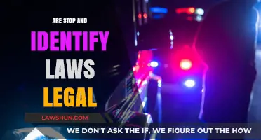 Are Stop and Identify Laws Legal? Exploring Constitutional Rights and Limits