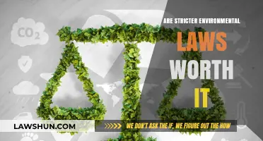 Are Stricter Environmental Laws Worth the Economic and Social Costs?