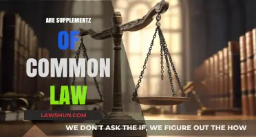 Supplements of Common Law: Exploring the Add-ons