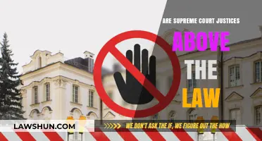 Are Supreme Court Justices Above the Law? Examining Accountability