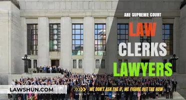 Are Supreme Court Law Clerks Lawyers? Unraveling the Legal Role