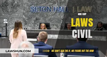 Are SVP Laws Civil? Exploring Legal Frameworks and Implications