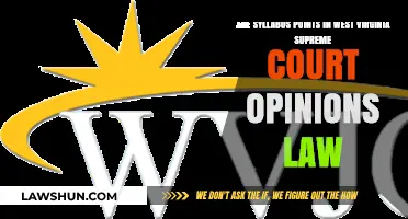 Are Syllabus Points in West Virginia Supreme Court Opinions Binding Law?