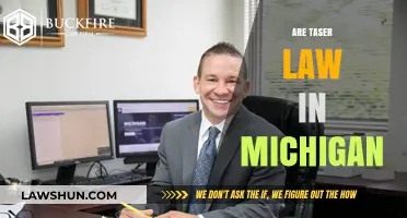 Understanding Michigan Taser Laws: Legal Use and Restrictions Explained