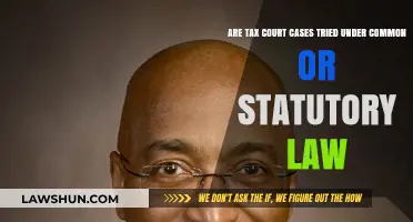 Tax Court Cases: Common or Statutory Law?