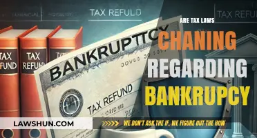 Tax Laws: Changing Bankruptcy Rules and Regulations