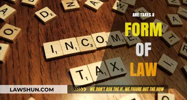 Taxes and Law: What's the Connection?