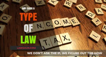 Taxes and Law: What's the Connection?