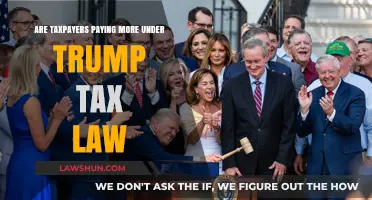 Trump's Tax Law: Who Pays More?