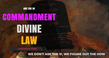 Are the Ten Commandments Divine Law or Moral Guidelines?