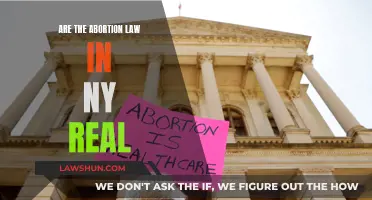 Abortion Laws in New York: Fact or Fiction?