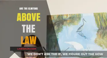 Are the Clintons Above the Law? Examining the Evidence and Allegations