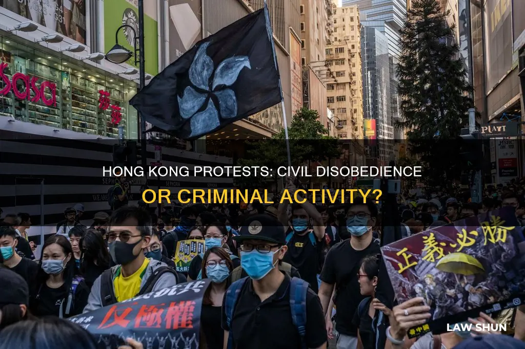 are the hong kong protesters breaking the law