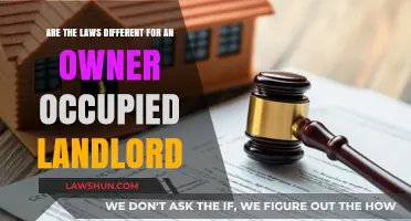 Landlord-Tenant Laws: Occupied Owner's Legal Responsibilities