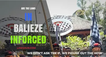 Are Bali's Laws Enforced? Exploring Legal Implementation in Indonesia's Paradise