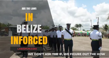 Are Belize's Laws Effectively Enforced? A Critical Examination