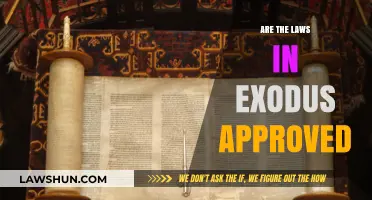 Are Exodus Laws Still Relevant and Approved Today?