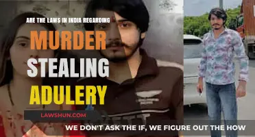 India's Legal Stance on Murder, Theft, and Adultery: An Overview