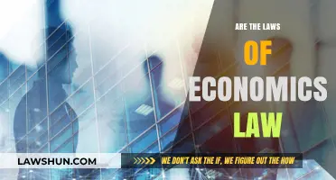 Are Economic Laws Immutable? Exploring the Flexibility of Market Principles