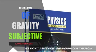 Is Gravity's Pull Objective or a Subjective Reality?