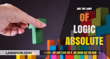 Are the Laws of Logic Universally Absolute or Contextually Relative?