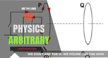 Are the Laws of Physics Arbitrary or Universally Fixed?