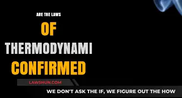 Are the Laws of Thermodynamics Universally Confirmed? Exploring Scientific Evidence