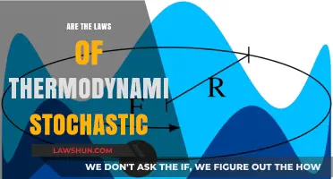 Are Thermodynamics Laws Stochastic? Exploring Randomness in Energy Principles