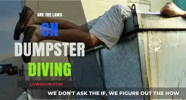 Is Dumpster Diving Legal? Understanding the Laws and Risks