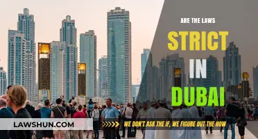 Dubai's Legal Landscape: Exploring the Strictness of Its Laws and Regulations