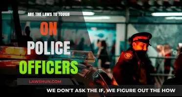 Are Police Laws Too Harsh? Examining Officer Accountability and Justice