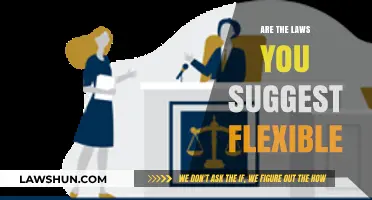 Are Suggested Laws Adaptable to Changing Circumstances and Needs?