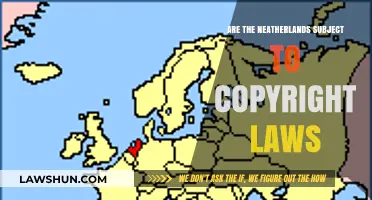 Netherlands Copyright Laws: Understanding Protection and Enforcement in the Country
