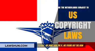 Netherlands and US Copyright Laws: Understanding International Legal Boundaries
