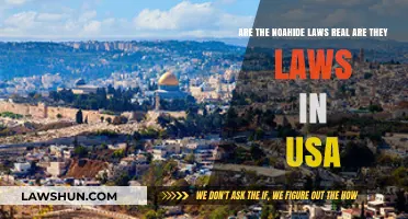 Noahide Laws: Real, Relevant, or Just Religious Doctrine in the USA?