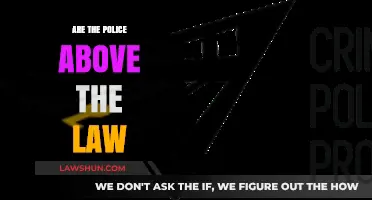 Are Police Above the Law? Accountability and Justice in Question
