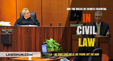 Are Courts Essential in Civil Law? Exploring Their Critical Role