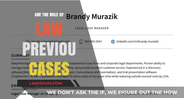 Previous Cases: Understanding the Rule of Law