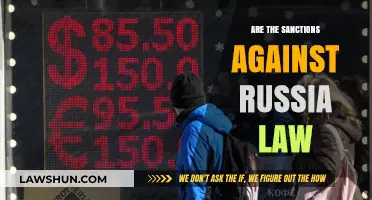 Are Sanctions Against Russia Legal? Exploring International Law and Ethics
