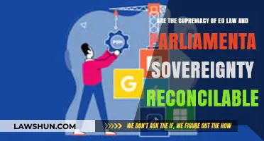 EU Law vs. Parliamentary Sovereignty: Can They Coexist Harmoniously?