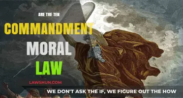Are the Ten Commandments Universal Moral Laws or Cultural Guidelines?