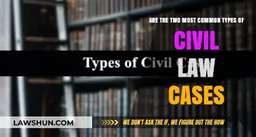 Civil Law Cases: The Two Most Common Types