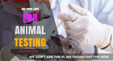Animal Testing Laws: Ethical Boundaries and Legal Regulations Explained