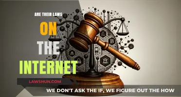 Navigating the Digital Wild West: Understanding Internet Laws and Regulations