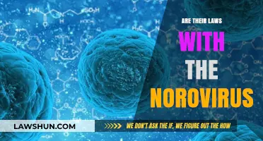 Understanding Norovirus: Legal Regulations and Public Health Measures Explained