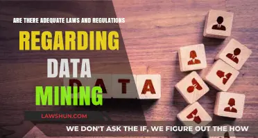 Data Mining Laws: Are Current Regulations Sufficient for Privacy Protection?